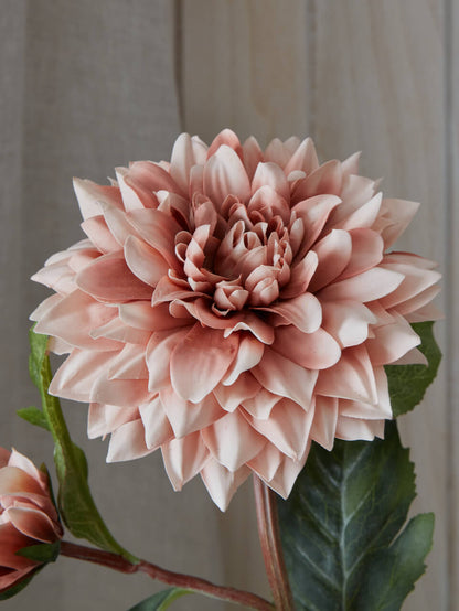 Faux Coffee Cream Dahlia