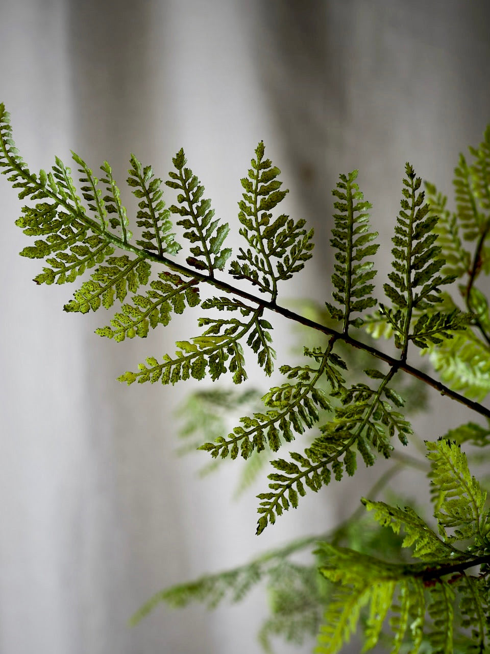 Faux Fern Stem
