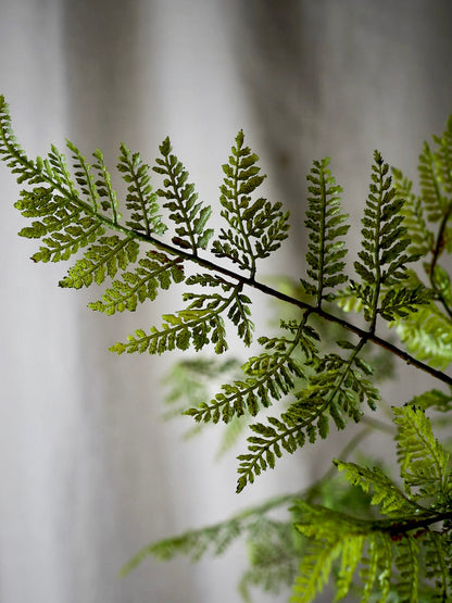 Faux Fern Stem
