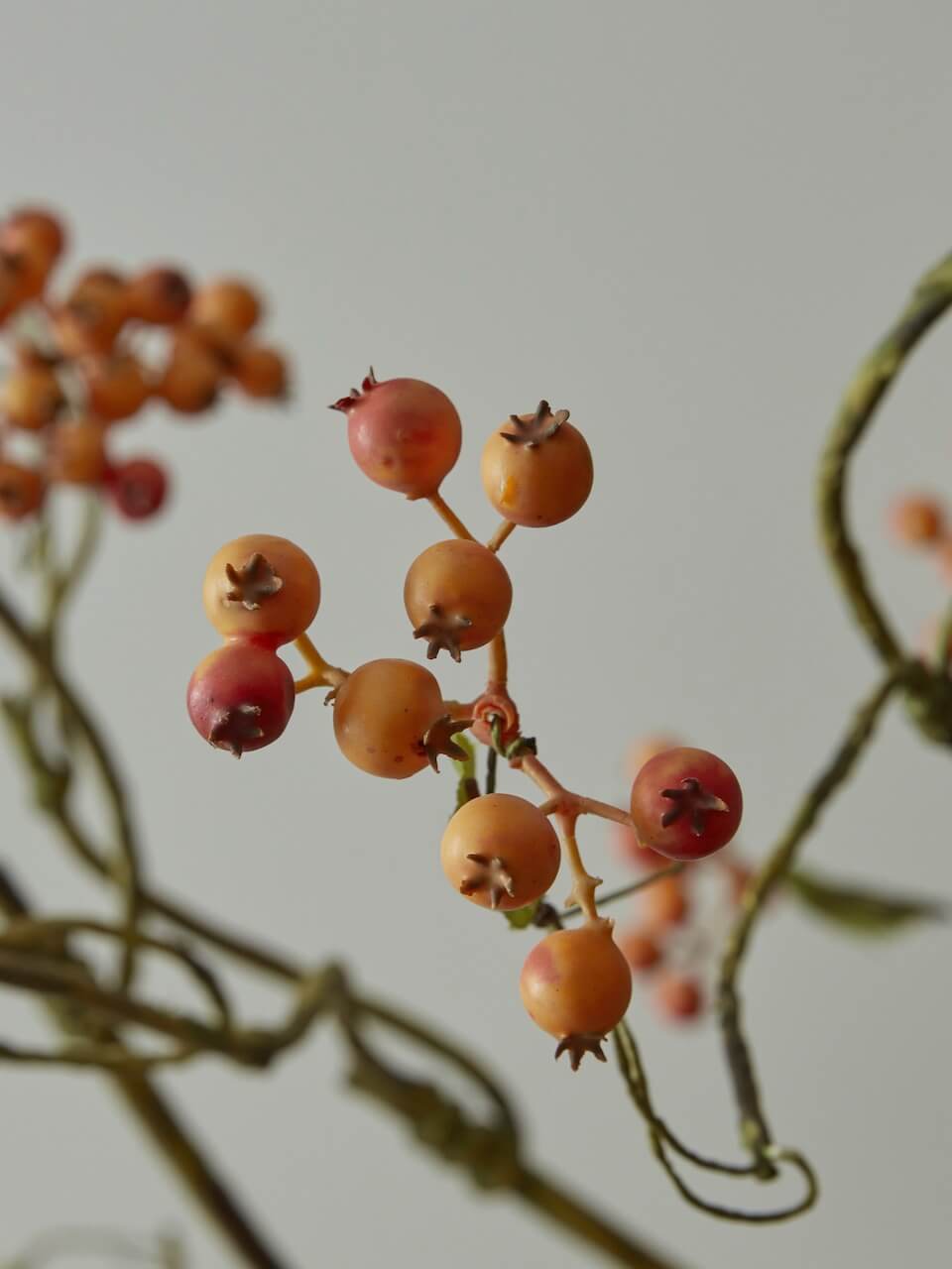 Faux Orange Berry Spray