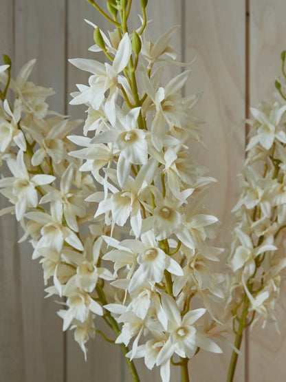 Faux White Singapore Orchid